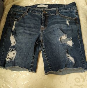 Adorable Torrid Denim Shorts!